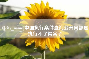 通辽中国执行案件查询公开网都是执行不了得案子