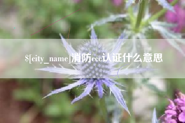 通辽消防ccc认证什么意思