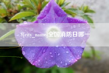通辽全国消防日哪一