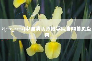 通辽中国消防救援学院官网首页查询