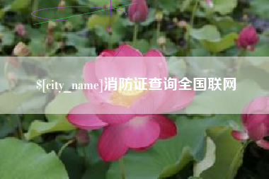 通辽消防证查询全国联网