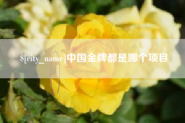 通辽中国金牌都是哪个项目