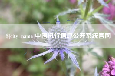 通辽中国执行信息公开系统官网