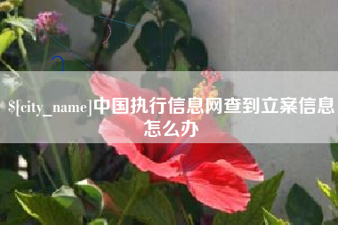 通辽中国执行信息网查到立案信息怎么办