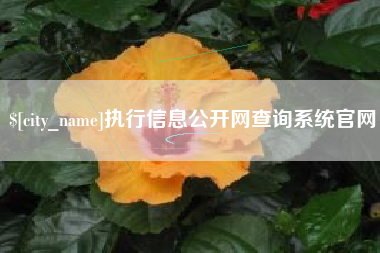 通辽执行信息公开网查询系统官网