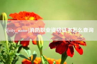通辽消防职业资格证书怎么查询