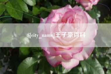 通辽王子豪百科