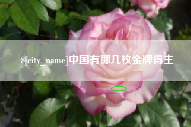 通辽中国有哪几枚金牌得主