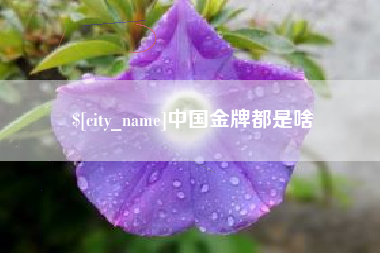 通辽中国金牌都是啥
