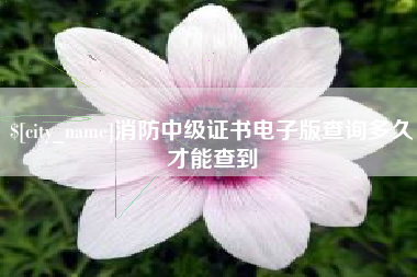 通辽消防中级证书电子版查询多久才能查到
