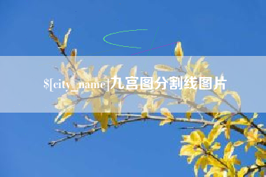 通辽九宫图分割线图片
