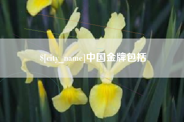 通辽中国金牌包括