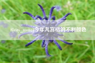 通辽今年九宫格的不利颜色