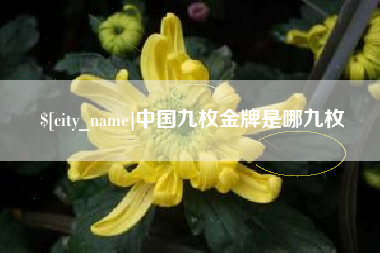 通辽中国九枚金牌是哪九枚