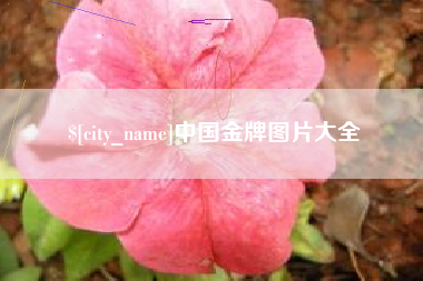 通辽中国金牌图片大全