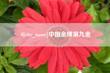 通辽中国金牌第九金