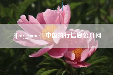 通辽1.中国执行信息公开网