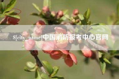 通辽中国消防报考中心官网