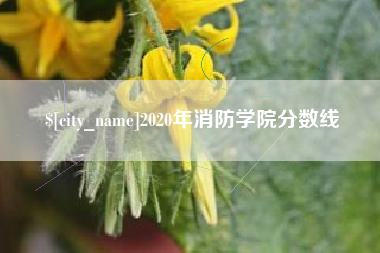 通辽2020年消防学院分数线