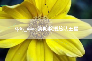 通辽消防救援总队王星