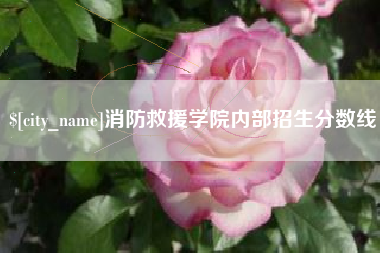 通辽消防救援学院内部招生分数线