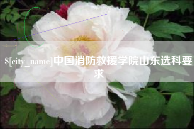 通辽中国消防救援学院山东选科要求