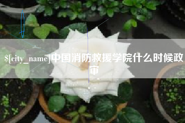 通辽中国消防救援学院什么时候政审