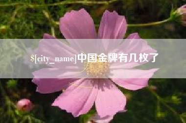 通辽中国金牌有几枚了