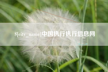 通辽中国执行执行信息网