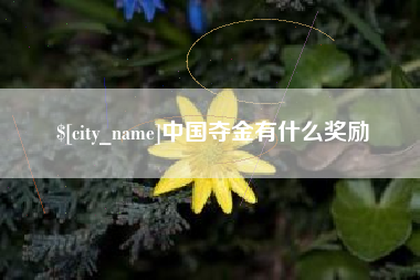 通辽中国夺金有什么奖励