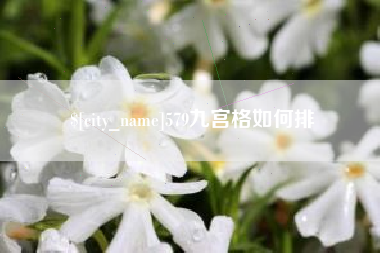 通辽579九宫格如何排