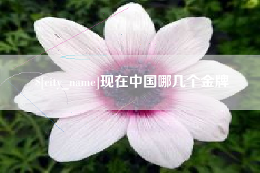 通辽现在中国哪几个金牌