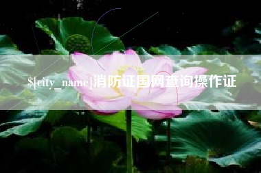 通辽消防证国网查询操作证