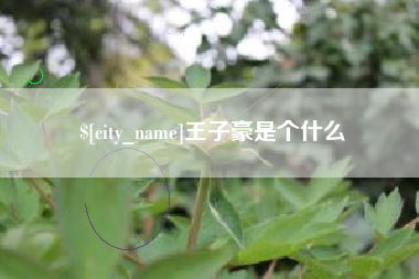 通辽王子豪是个什么
