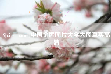 通辽中国金牌图片大全大图真实高清