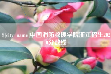 通辽中国消防救援学院浙江招生2020分数线