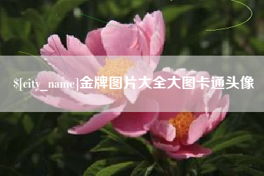 通辽金牌图片大全大图卡通头像