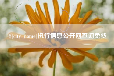 通辽执行信息公开网查询免费