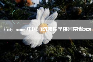 通辽中国消防救援学院河南省2020