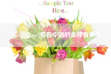 通辽看看中国的金牌有多少